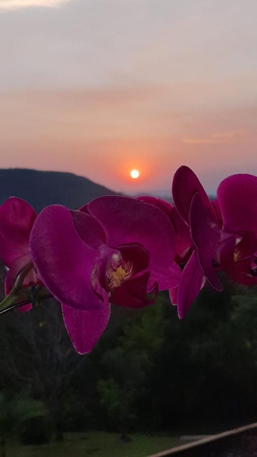 Pousada Flor De Lotus Dos Canyons Прая Гранде Екстериор снимка